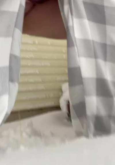 Merry Christmas 💦