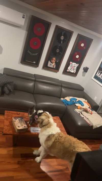 I guess this means they aren’t just fighting for my attention.