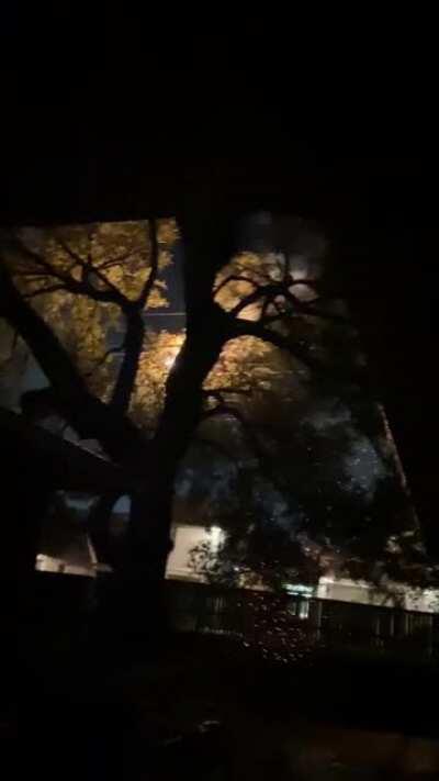 Ice caused my tree to touch a 138kV transmission line, catching my tree on fire and causing a 3 day power outage for the entire neighborhood