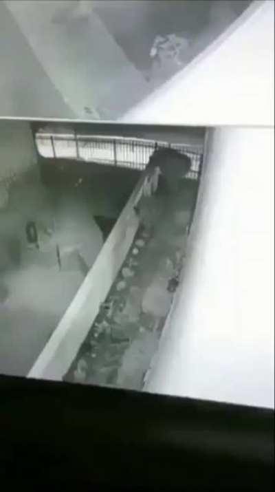 They caught it on camera