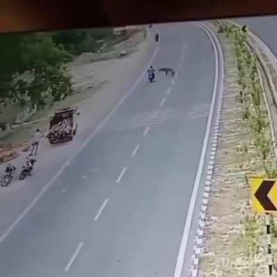 India 🇮🇳
In Uttar Pradesh, India,
Unfortunately, a 28-year-old man was pierced in the chest by the horns of a blue antelope crossing the road and died.