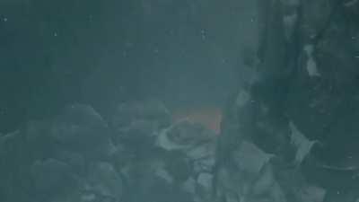 Sekiro is a Brutal Game!