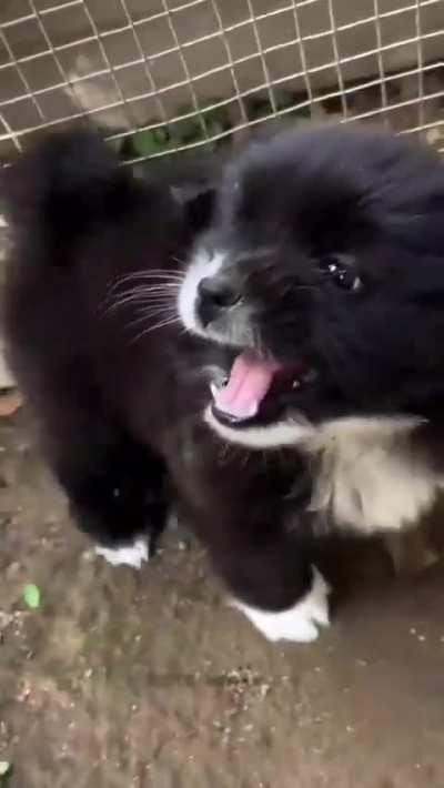 omg!! She is so angry!