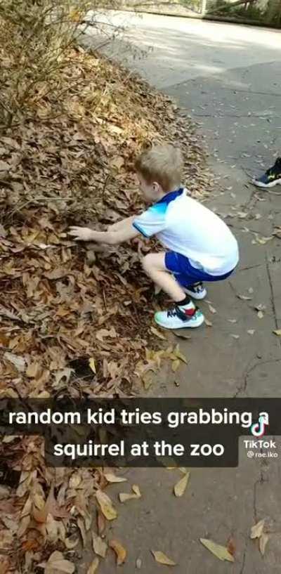 Kid tries to pick up a squirrel