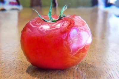 Still life, well, sort of still....