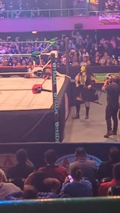 Lady Maravilla returns to AAA after la hiedra and Lady Flammer lose to Faby Apache and Natalya, and attacks Natalya. AAA in CDMX 11/22/25 Las Vegas are back together