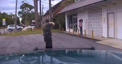 Man tries to pull gun on three officers that are already pointing guns at him