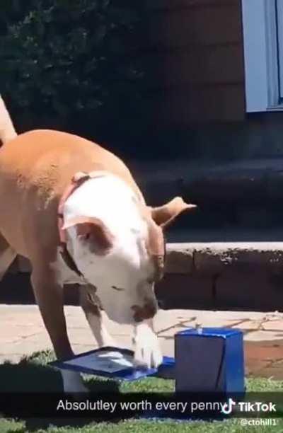 He does not understand