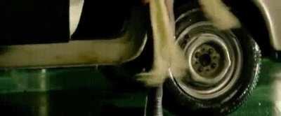 Will never get tired of this