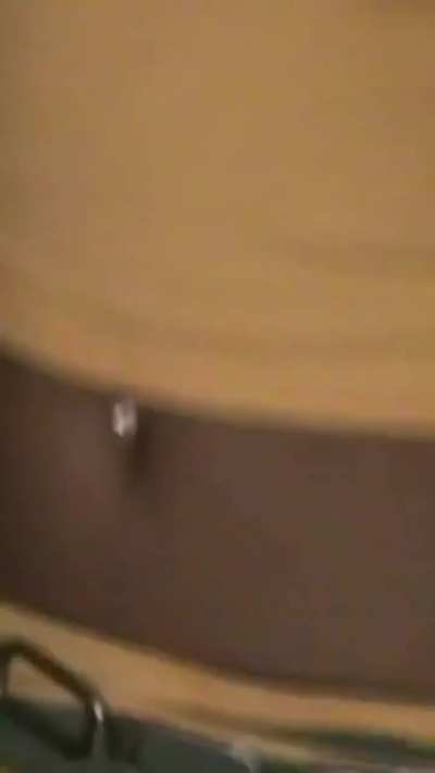 Tyla performs with Scorpion Kings in Ghana, 🇬🇭🐅✨