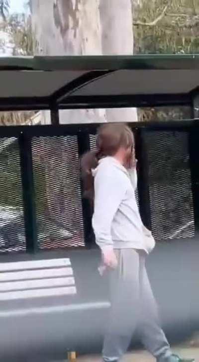 Dude is doing rapid fire hits 