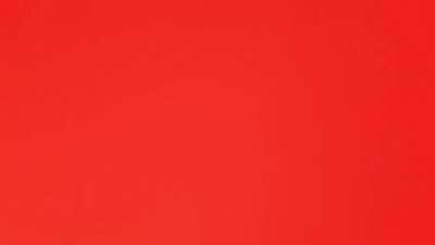 Un jabalí se hace el muerto y ataca a los cazadores cuando se disponen a cobrar su pieza