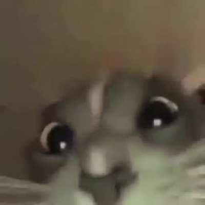 crazy glitch rift to go