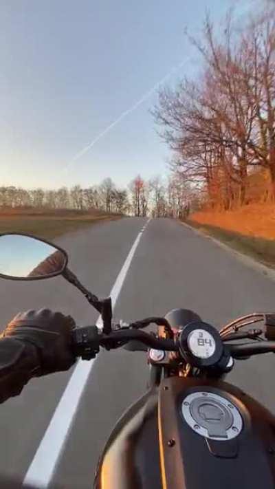 Autumn + sunset = colors