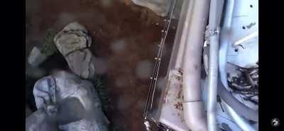 Karen makes a hole in one and then spins and rolls around her whole enclosure.