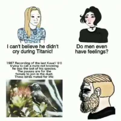 I honestly dont know if it counys as a history meme, but damn....