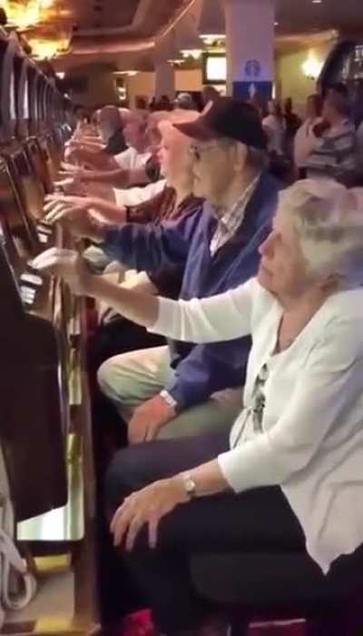 Nothing behind those eyes.