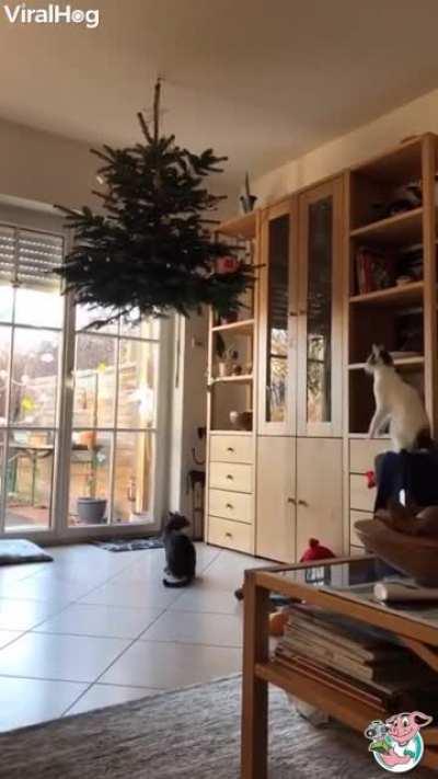 You'll need Tactical High Altitude Air Defense systems, aka THAAD to stop them!