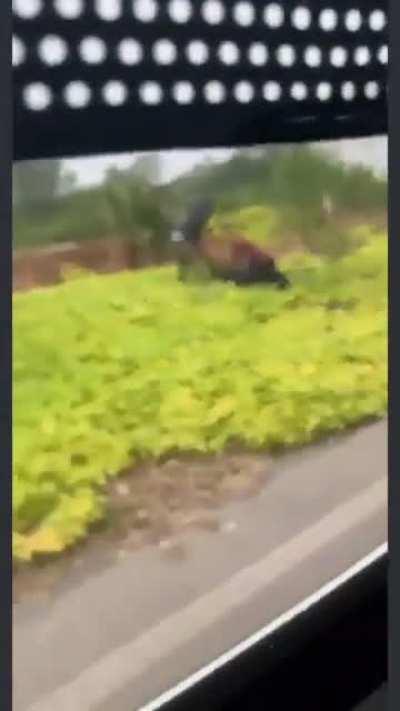 Yucatan, Mexico - police officer killed with his own gun after stopping stolen vehicle, he was only 23 years old