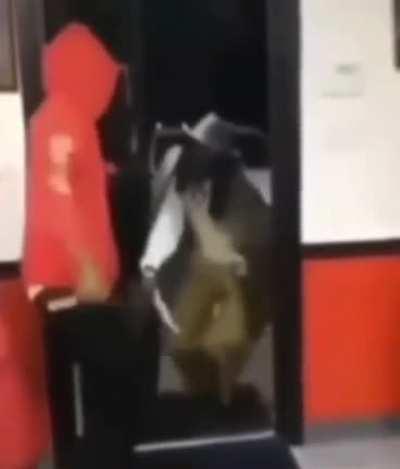 when i get that noti that bruce is finally streaming after a decade