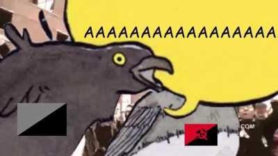 Anarchy irl vs anarchy's depiction in the media