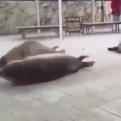 Eu voltando para o trabalho depois da quarentena!