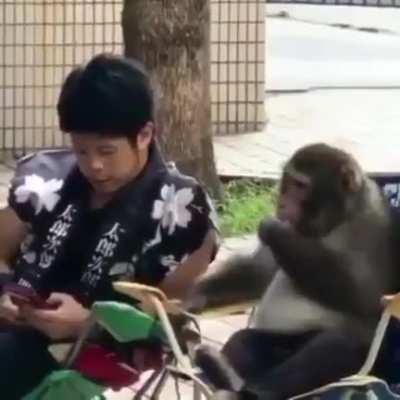 😎---🙂🕶️🤏