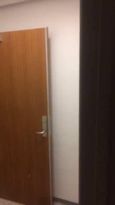 The true face of terror.