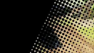 Warzone x Tony Hawk's Pro Skater