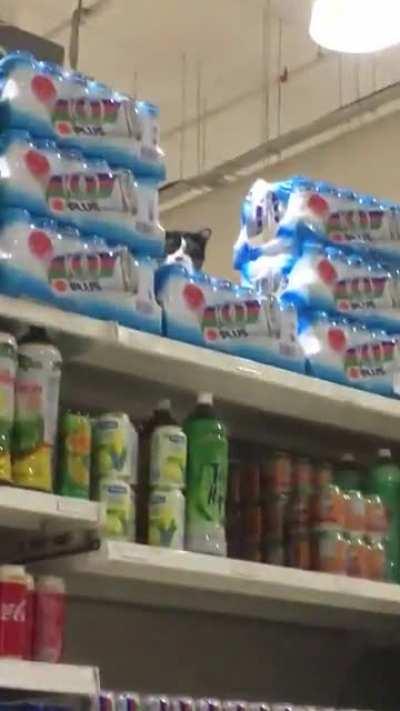 Uhh... that isn’t supposed to be there