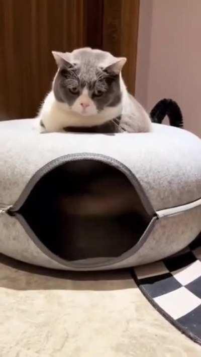 Ну весло чё