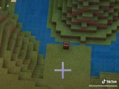 Jeje meme de maincraf