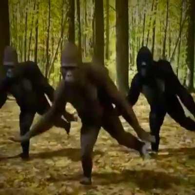 Epic meme fart funny