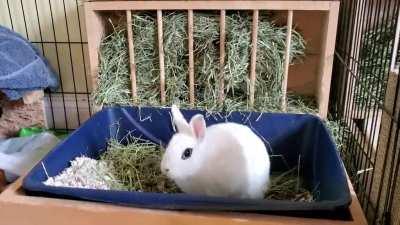 My little nutjob....