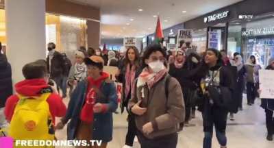Protesters disrupted Boston shopping malls on Black Friday