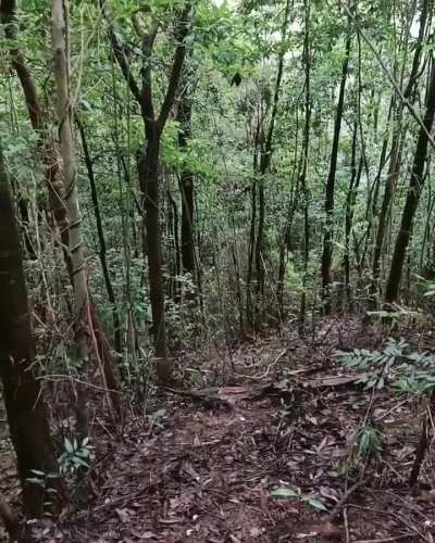 🔥 Where we droppin’, fellas?