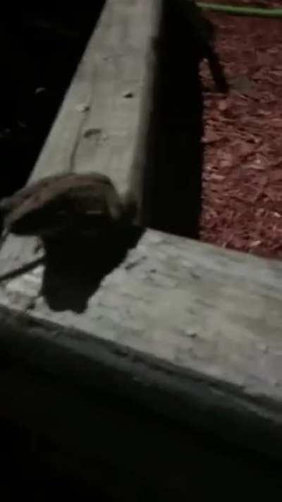 I just want to touch you