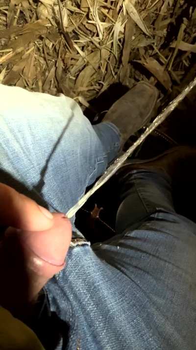 Last piss from the tractor this year