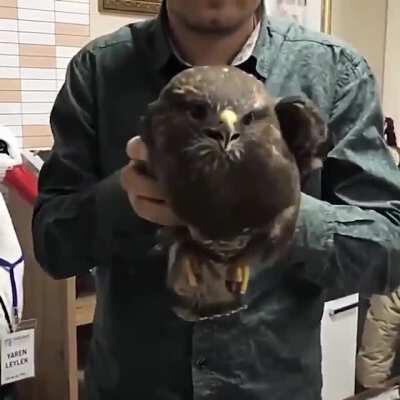 Nature's state-of-the-art Stabilization!