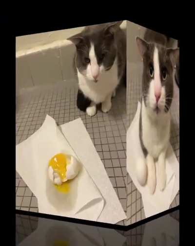 Losercity Tragic Event