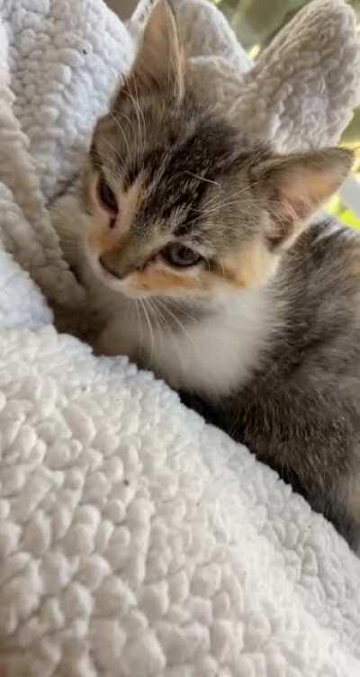 I apparently did wake her nap