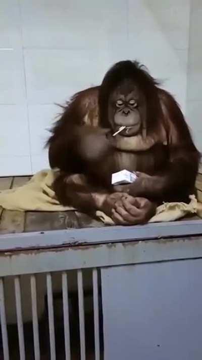 Будешь сок?