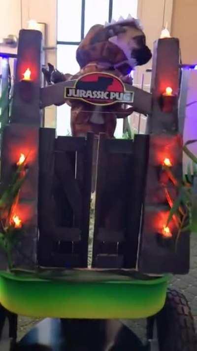 Ive spared no expense