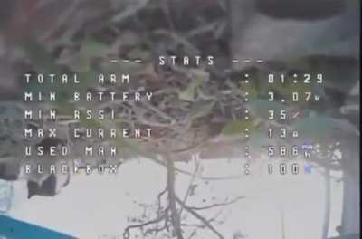 A video appeared on the Network that captured how a rural cat knocked down a Ukrainian drone with its paw. The cat is the first to make history with this achievement.