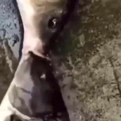 Hot ngl yall rockin wit this!?!?