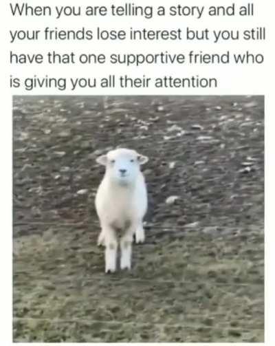 Go on, finish it please