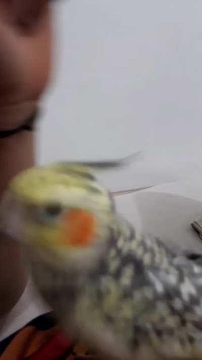 oh! didnt see you there