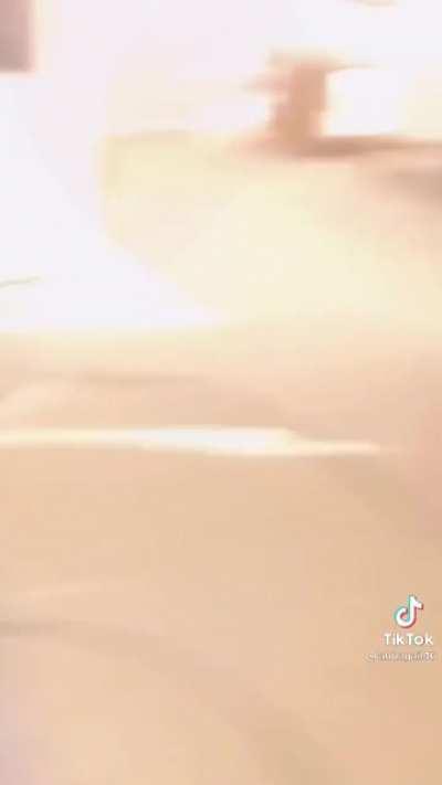 Finally!! VR for dogs