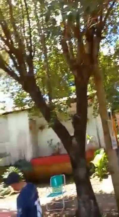 Piqueteros quisieron cortar la calle y los vecinos los sacaron a palazos en Misiones: “Rajen, vayan a laburar”