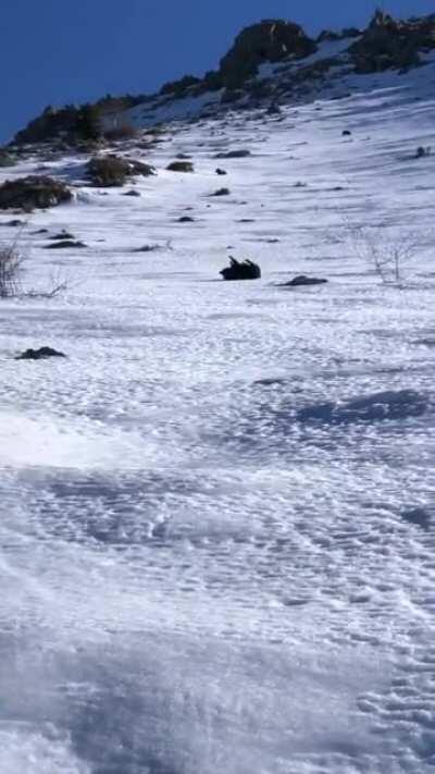 Kill the camerawoman